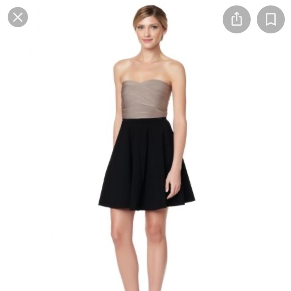 NWT Erin Fetherston Fit & Flare Blue/Black Dress